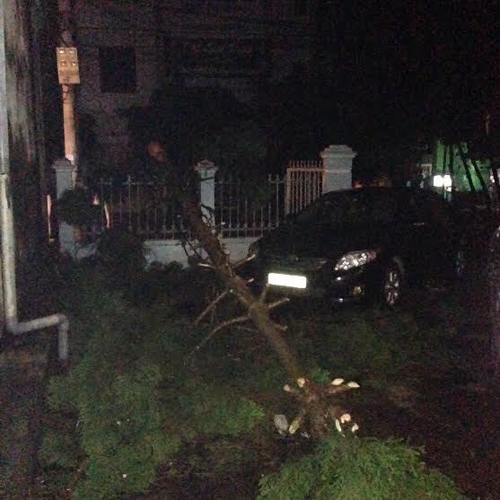 Biến đổi kh&iacute; hậu do gi&oacute; lốc k&egrave;m mưa lớn khiến c&acirc;y bật gốc đổ đ&egrave; l&ecirc;n &ocirc; t&ocirc;