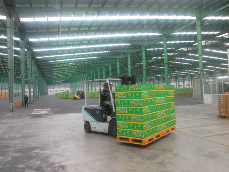 Xe nâng chở sản phẩm xếp vào kho cũng được an ninh trong nhà máy theo dõi, kiểm soát chặt chẽ