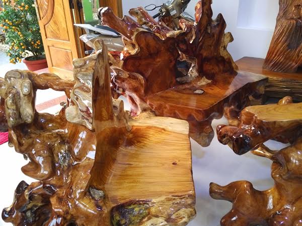 Những chiếc ghế cũng được làm từ một phần dễ của cây huỳnh đàn ‘khủng’ này. 