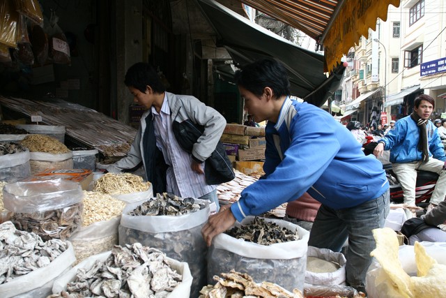 Mộc nhĩ nấm hương l&agrave; đồ kh&ocirc; kh&ocirc;ng thể thiếu trong danh s&aacute;ch 13Win OKVIP Cá cược bóng đá Tết