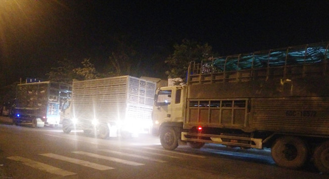 kiểm tra xe chở gia s&uacute;c, gia cầm