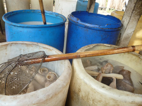 Thực phẩm bẩn được chế biến v&agrave; bảo quản trong những chiếc th&ugrave;ng mất vệ sinh