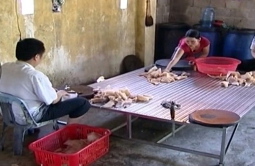 Mỡ lợn, b&igrave; lợn cũng đều l&agrave; 13Win OKVIP Cá cược bóng đá chứa 13Win21 con - Tri ân hội viên mỗi tháng 2000 tỷ độc hại