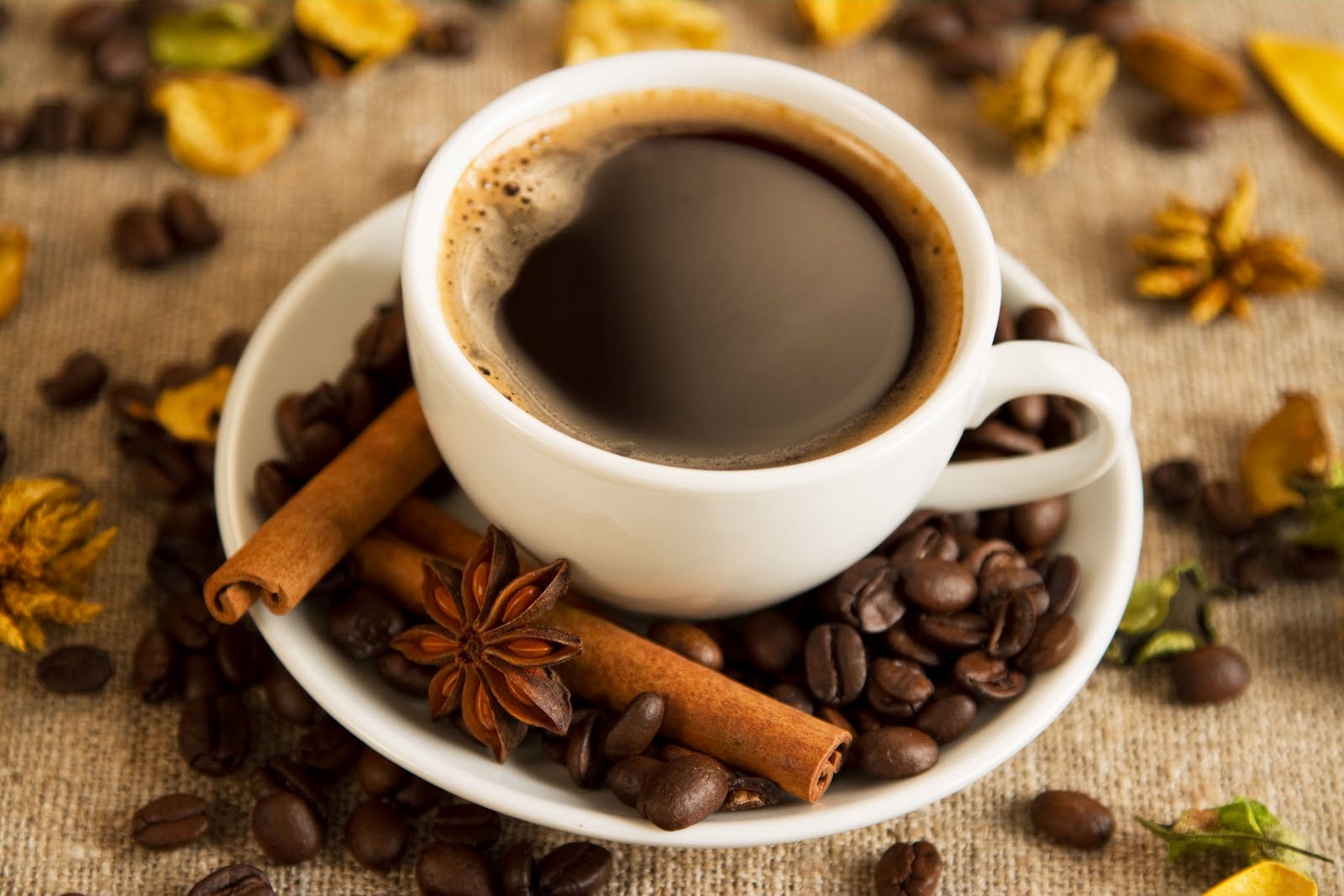 Cafe cũng l&agrave; một trong c&aacute;c loại 13Win OKVIP Cá cược bóng đá nhiễm độc OTA