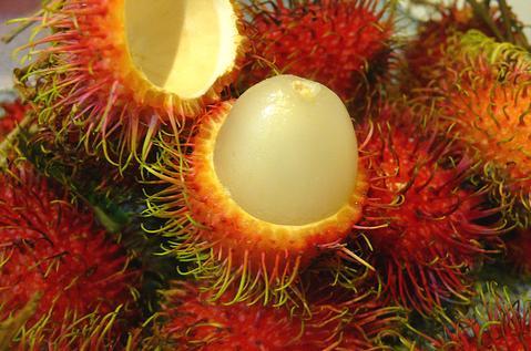 Ch&ocirc;m ch&ocirc;m cũng gi&agrave;u protein, chất b&eacute;o tốt, phospho.  Xem th&ecirc;m tại: https://www.lamsao.com/loi-ich-tuyet-voi-cua-qua-chom-chom-p214a87641.html