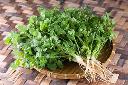 Rau m&ugrave;i l&agrave; gia vị, rau sống l&agrave;m tăng th&ecirc;m hương vị cho c&aacute;c m&oacute;n ăn v&agrave; c&oacute; nhiều t&aacute;c dụng chữa bệnh tuyệt vời.