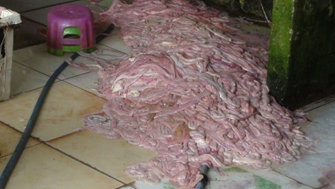 Vô số món ăn đặc sản trong các hàng quán được chế biến từ thứ 13Win OKVIP Cá cược bóng đá bẩn kinh hoàng này. Vô số món ăn đặc sản trong các hàng quán được chế biến từ thứ 13Win OKVIP Cá cược bóng đá bẩn kinh hoàng này.