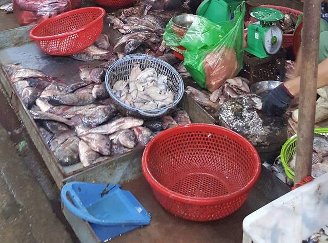 Dường như 13Win OKVIP Cá cược bóng đá bẩn ở khu chợ này vẫn chưa được coi là vấn nạn Dường như 13Win OKVIP Cá cược bóng đá bẩn ở khu chợ này vẫn chưa được coi là vấn nạn