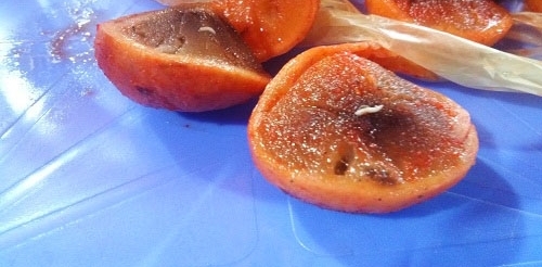Thức ăn có giòi đòi hỏi người ti&ecirc;u dùng cảnh giác hơn