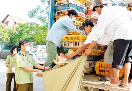 Phát hi&ecirc;̣n và thu giữ thực ph&acirc;̉m nh&acirc;̣p l&acirc;̣u