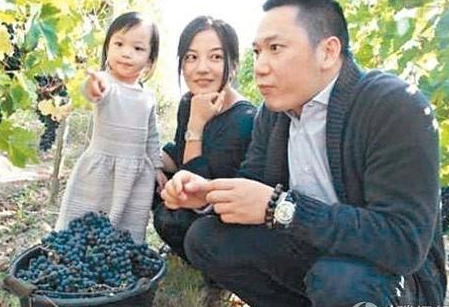 Theo thống kê, khối tài sản của vợ chồng Triệu Vy – Huỳnh Hữu Long đã vượt ngưỡng 1 tỉ USD. Tài sản của họ chủ yếu đến từ giá trị cổ phiếu của hãng phim Alibaba.