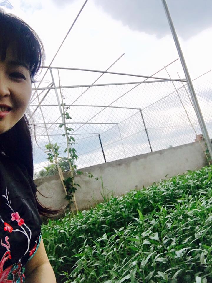 Tuy vậy, cô vẫn dành một không gian nhỏ đất trồng ở gần khu nhà xưởng của công ty Đăng ký và nhận 60K 24 bao lì xì miễn phí mỗi ngày để đào luống trồng rau. 