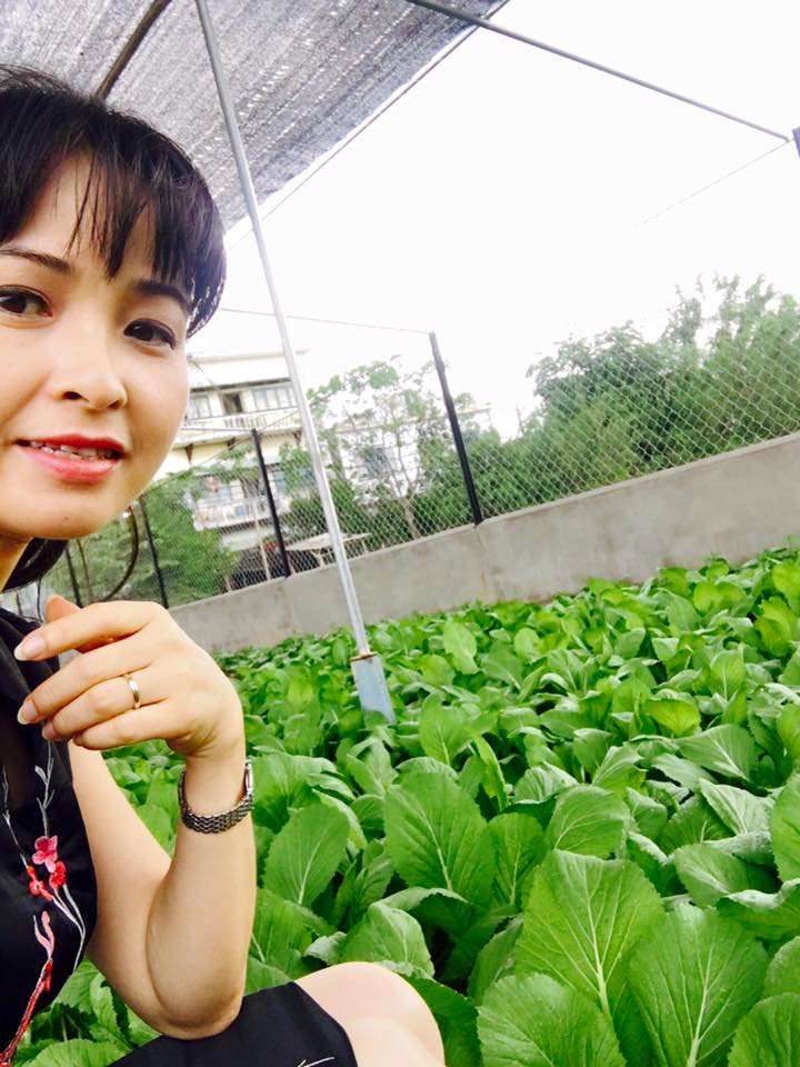 Vườn rau của cô xanh mát mắt với những loại rau quen thuộc như rau dền, rau muống, rau cải ngọt, cải xanh, rau lang, rau đay, mồng tơi, đỗ,... Vườn rau của cô xanh mát mắt với những loại rau quen thuộc như rau dền, rau muống, rau cải ngọt, cải xanh, rau lang, rau đay, mồng tơi, đỗ,...