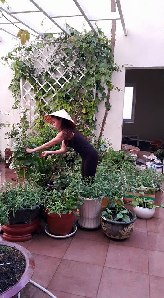 Vườn rau Đăng ký và nhận 60K 24 bao lì xì miễn phí mỗi ngày Hồ Ngọc Hà chủ yếu do mẹ cô chăm sóc, bao gồm rau muống, mùng tơi, rau lang, rau cải, rau gia vị... Vườn rau Đăng ký và nhận 60K 24 bao lì xì miễn phí mỗi ngày Hồ Ngọc Hà chủ yếu do mẹ cô chăm sóc, bao gồm rau muống, mùng tơi, rau lang, rau cải, rau gia vị...