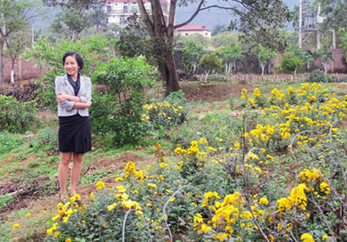 Nữ ca sĩ chia sẻ từ ngày chuyển nhà về ngoại thành chị được làm những công việc mà trước đây không bao giờ nghĩ mình có thể làm được như trồng rau, nuôi cá, nuôi gà,... Nữ ca sĩ chia sẻ từ ngày chuyển nhà về ngoại thành chị được làm những công việc mà trước đây không bao giờ nghĩ mình có thể làm được như trồng rau, nuôi cá, nuôi gà,...