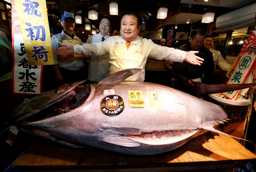dai-gia-chi-khung-14-ty-mua-1-con-ca-ngu-vay-xanh-212kg