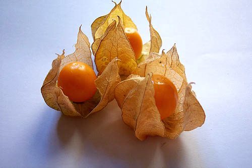 can-canh-qua-dai-tam-bop-o-viet-nam-dang-duoc-ban-700000dkg-tai-nhat