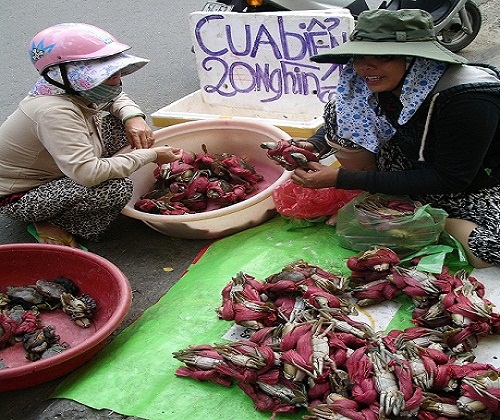 su-that-cua-bien-gia-sieu-re-50000-dongkg-ban-day-duong su-that-cua-bien-gia-sieu-re-50000-dongkg-ban-day-duong