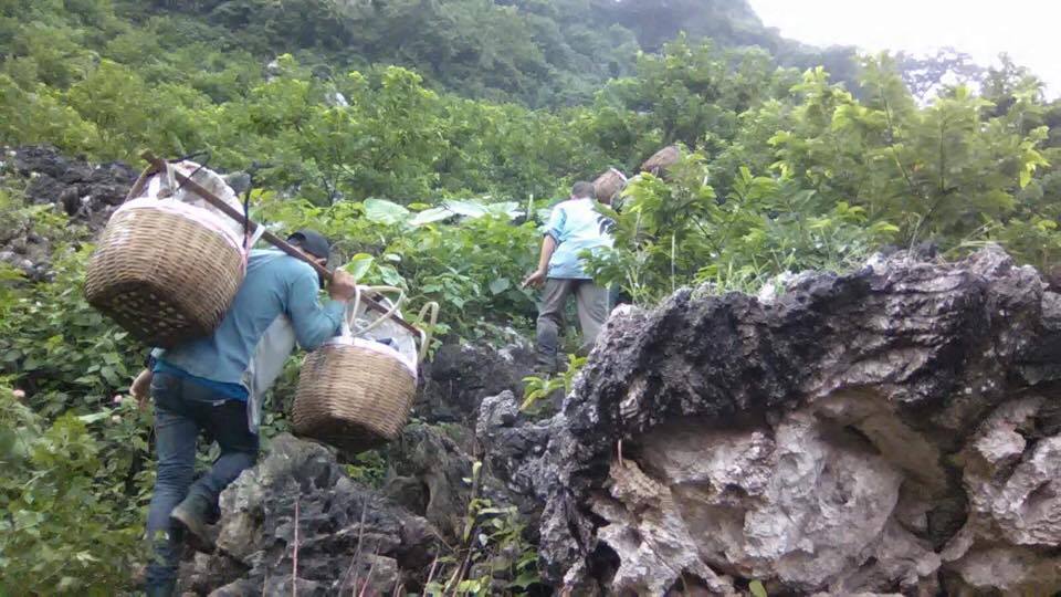 na-lang-son-gia-chi-25000-dongkg-nguoi-nong-dan-da-vat-va-the-nao
