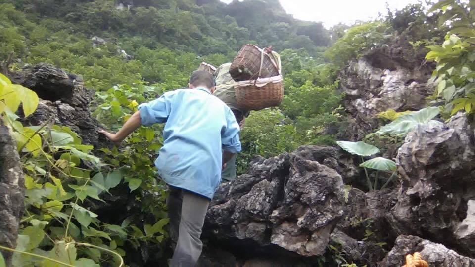 na-lang-son-gia-chi-25000-dongkg-nguoi-nong-dan-da-vat-va-the-nao