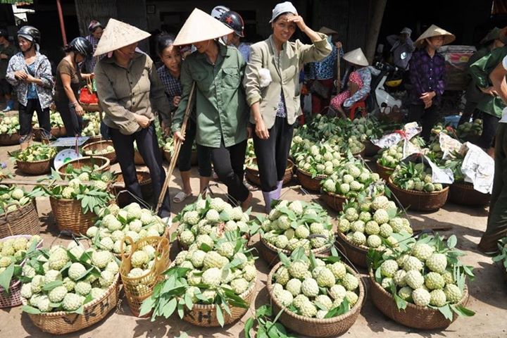 na-lang-son-gia-chi-25000-dongkg-nguoi-nong-dan-da-vat-va-the-nao
