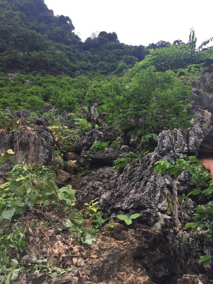 na-lang-son-gia-chi-25000-dongkg-nguoi-nong-dan-da-vat-va-the-nao