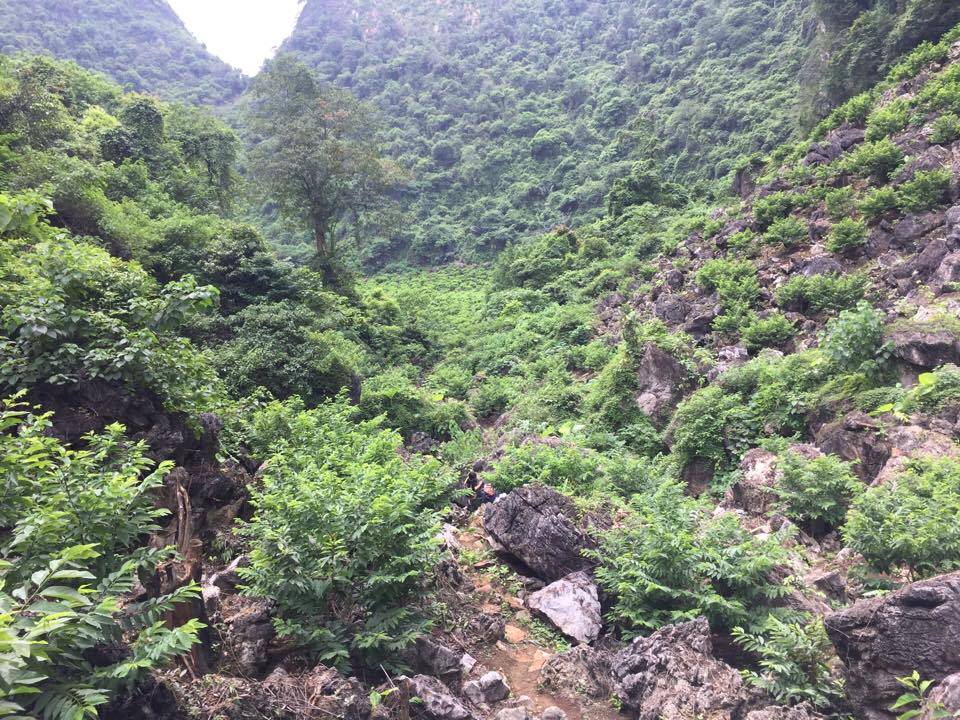 na-lang-son-gia-chi-25000-dongkg-nguoi-nong-dan-da-vat-va-the-nao