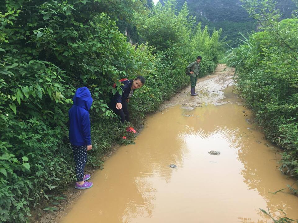 na-lang-son-gia-chi-25000-dongkg-nguoi-nong-dan-da-vat-va-the-nao