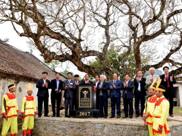 unesco-viet-nam-phan-ung-kien-nghi-dep-loan-danh-hieu-cua-bo-van-hoa