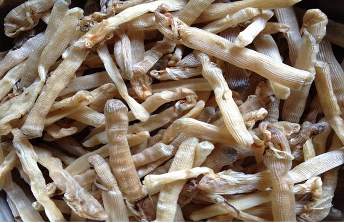bua-com-nha-giau-viet-chi-chuc-trieu-an-bao-ngu-den-cua-nhap-ngoai