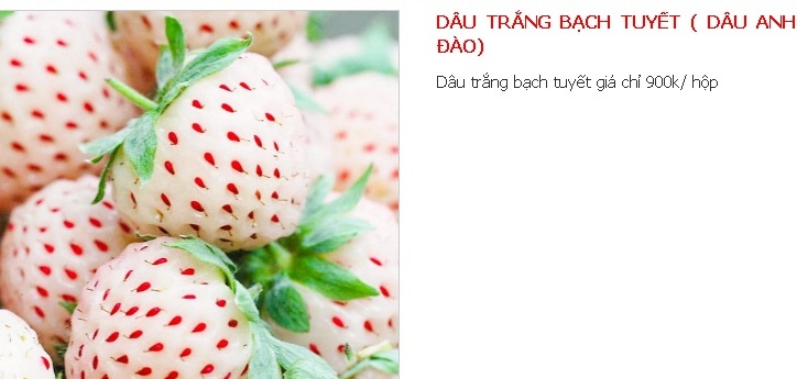 qua-nua-ty-cua-nhat-dang-duoc-ban-tai-viet-nam-gia-bao-nhieu