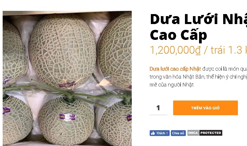 qua-nua-ty-cua-nhat-dang-duoc-ban-tai-viet-nam-gia-bao-nhieu