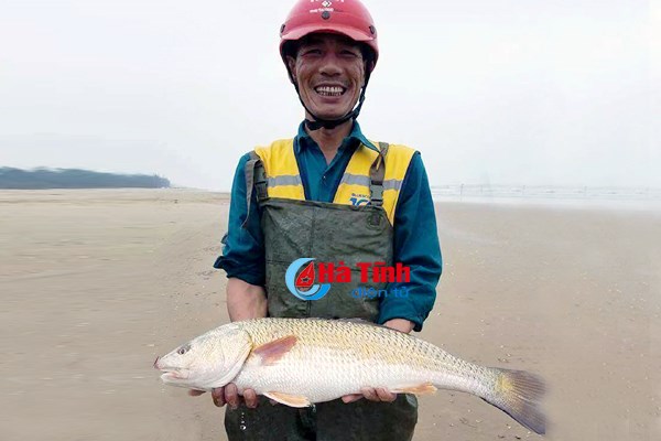 ha-tinh-cau-duoc-ca-ong-anh-nghi-su-vang-dai-gia-tra-400-trieu-khong-ban