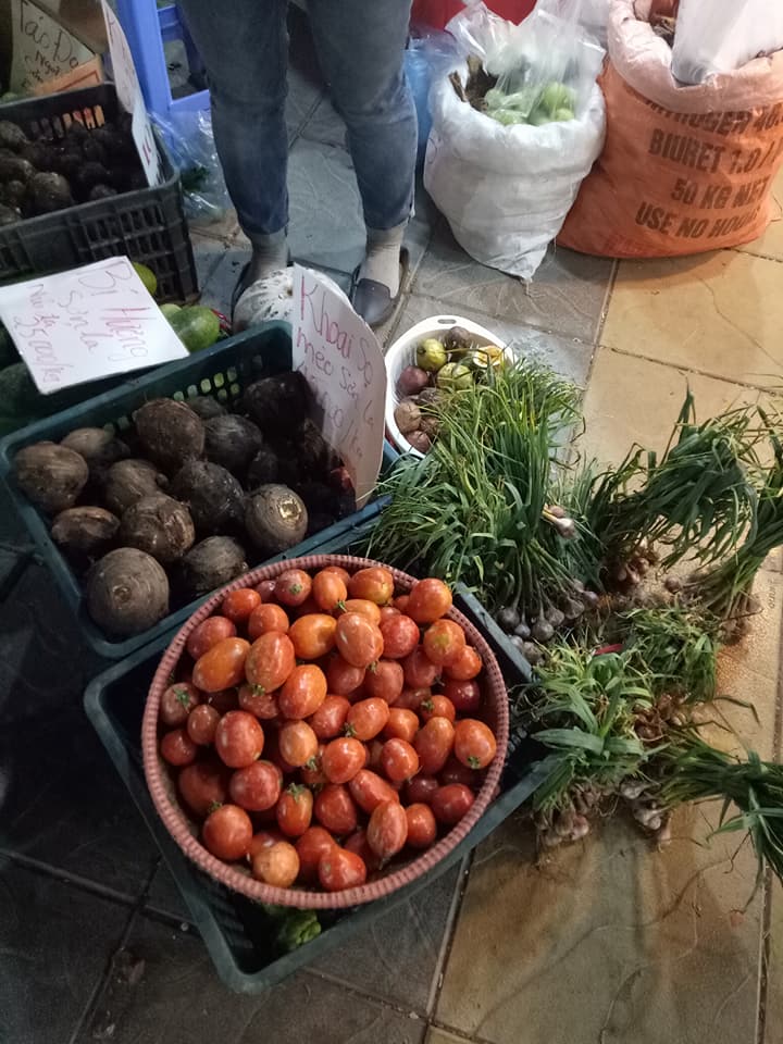 rau-cu-mien-nui-do-bo-ba-noi-tro-ha-thanh-tranh-nhau-mua