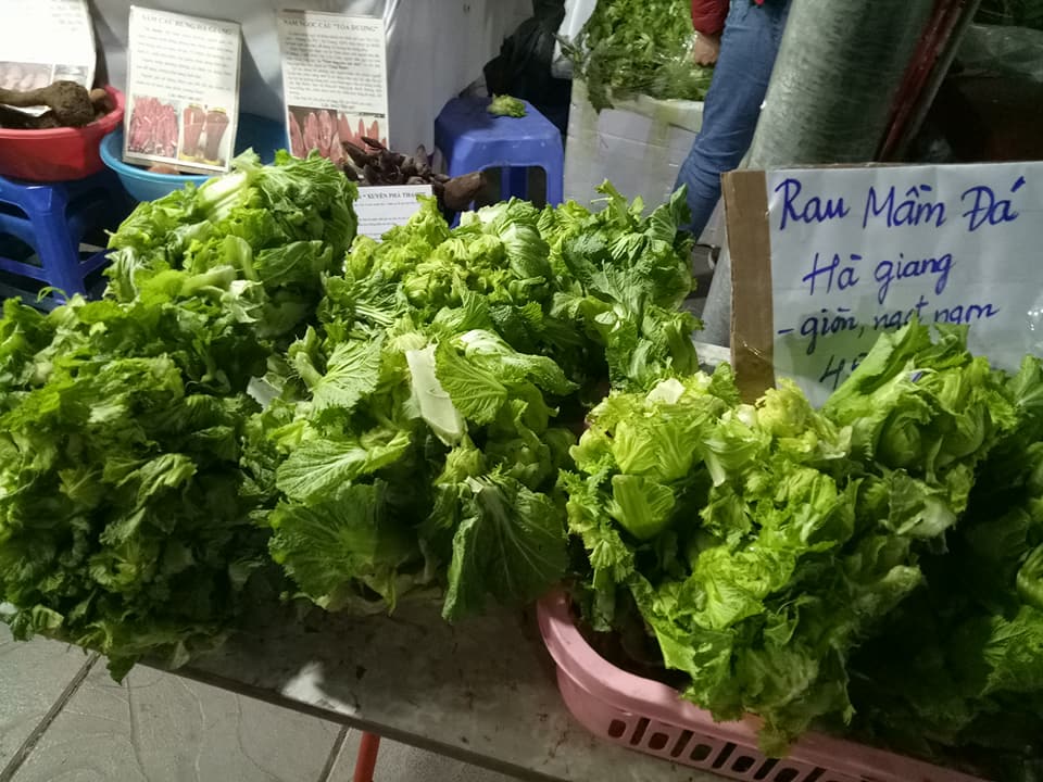 rau-cu-mien-nui-do-bo-ba-noi-tro-ha-thanh-tranh-nhau-mua