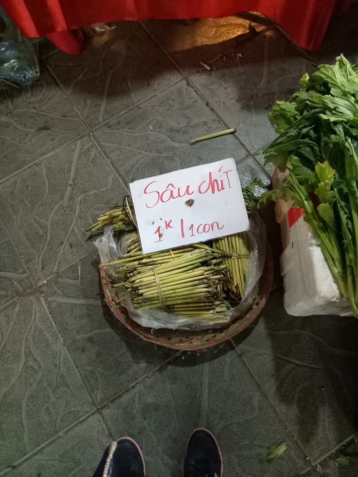 rau-cu-mien-nui-do-bo-ba-noi-tro-ha-thanh-tranh-nhau-mua