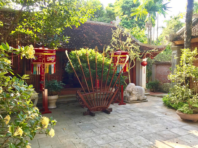 can-canh-phu-tho-1000-m2-chua-toan-do-co-chuc-ty-cua-vuong-rau