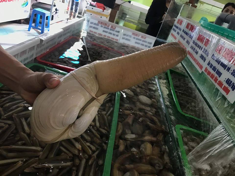 choang-vang-ban-an-nha-giau-viet-dui-lon-tay-ban-nha-50-trieu-tu-hai-canada-chuc-trieucon choang-vang-ban-an-nha-giau-viet-dui-lon-tay-ban-nha-50-trieu-tu-hai-canada-chuc-trieucon