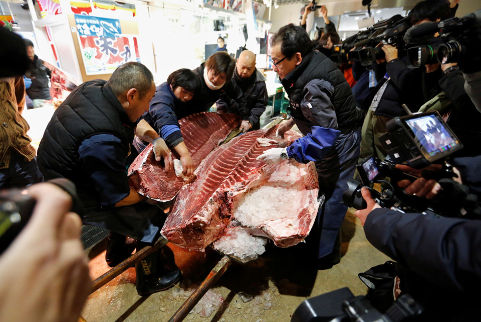 ca-ngu-khung-405-kg-dai-gia-chot-mua-gia-72-ty-gay-choang