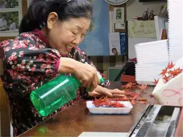 vi-sao-chi-nho-ban-la-cay-cu-ba-lai-kiem-khung-52-ty-dongnam