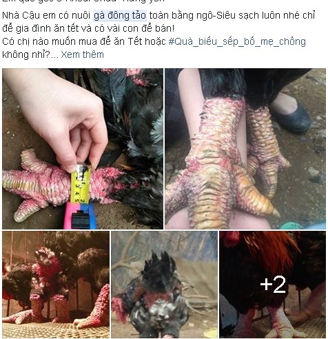 3-san-vat-tien-trieu-vua-ngon-mieng-vua-sang-trong-bieu-tang-dip-tet-28-tet