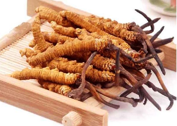 dac-san-san-cao-cap-gia-chuc-trieukg-dai-gia-mua-lam-qua-bieu-tet