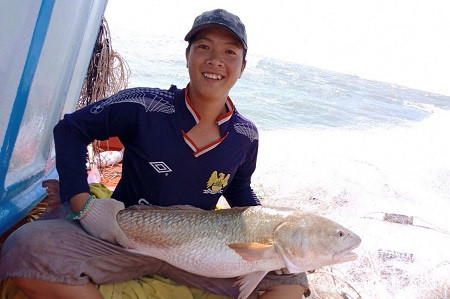 ca-mau-xon-xao-ngu-dan-bat-duoc-ca-6kg-nghi-su-vang-tien-ty
