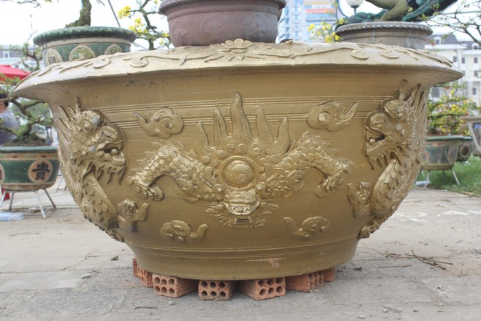 lao-mai-khung-gan-100-tuoi-gia-3-ty-dong-o-da-nang-doc-co-nao