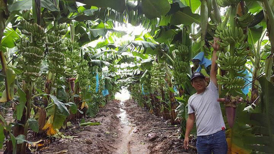 ban-chanh-chuoi-thu-16-nghin-ty-dong-bau-duc-tiet-lo-tham-vong-dang-cap-chau-a