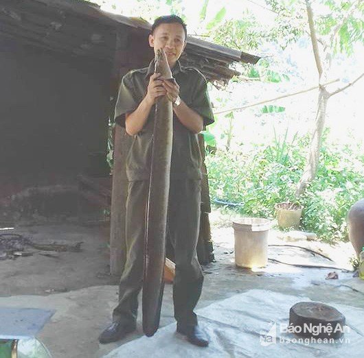 nghe-an-xon-xao-nong-dan-lai-bat-duoc-ca-chinh-nang-khung-6-kg-dai-13m