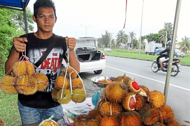 doc-la-sau-rieng-ruot-do-nhu-mau-dat-gap-doi-qua-thuong-chi-e-mua-am-am-vi-la-mat