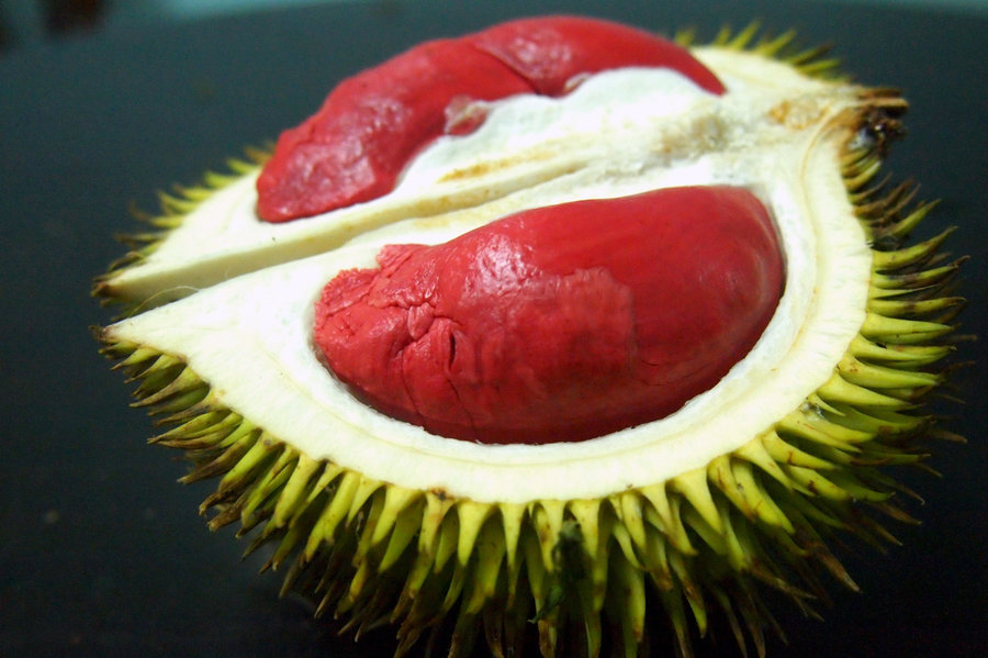 doc-la-sau-rieng-ruot-do-nhu-mau-dat-gap-doi-qua-thuong-chi-e-mua-am-am-vi-la-mat