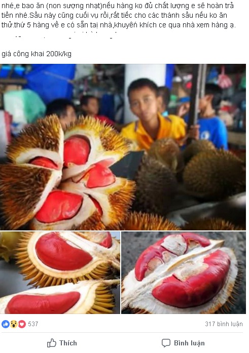 doc-la-sau-rieng-ruot-do-nhu-mau-dat-gap-doi-qua-thuong-chi-e-mua-am-am-vi-la-mat