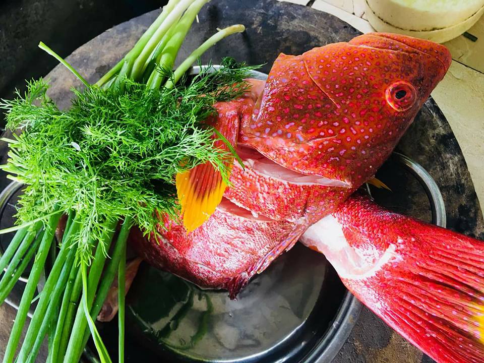 ca-mu-do-chuc-trieu-dongcon-nha-giau-viet-mua-de-tu-lanh-an-dan